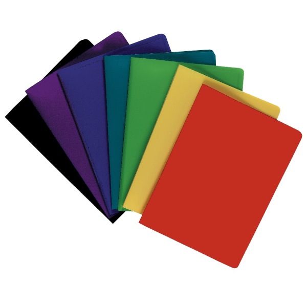 Porte-vue Polypro – Pochettes fixes grainées opaque A4 – 80 vues – Coloris assortis