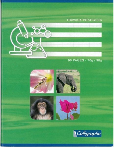 Cahier travaux pratiques piqure – 17 x 22 – Seyes70 g / Dessin 90 g – 96 pages