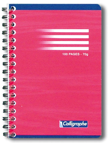 Carnet reliure intégrale – 9 x 14 cm- 70 g – Q.5×5 – 100 pages