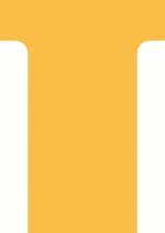Etuis 100 fiches en T 60/85 N°2 Orange
