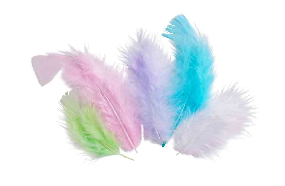 PLUMES PASTEL 10 CM X 50