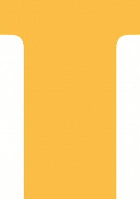 Etuis 100 fiches en T 60/85 N°2 Orange