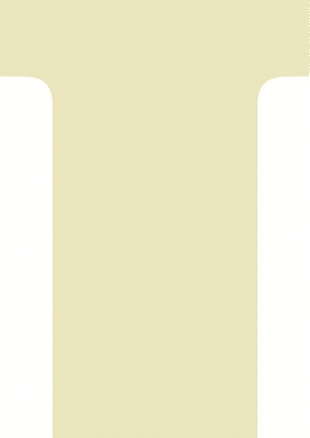 Etuis 100 fiches en T 60/85 N°2 Gris