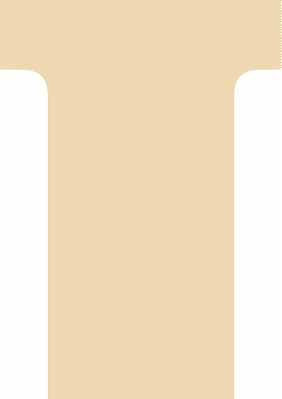Etuis 100 fiches en T 60/85 N°2 Havane